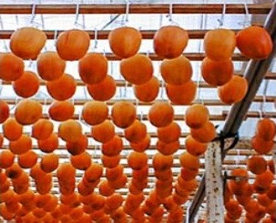 石岡の干し柿 石岡の干し柿